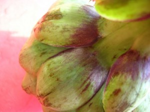 This is how to cook an artichoke