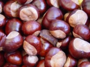 This is how to cook chestnuts