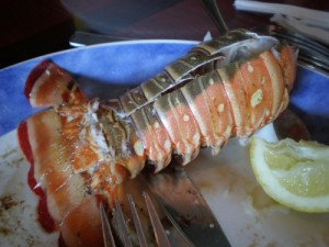 This is how to cook lobster tail