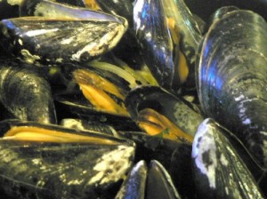 This is how to cook mussels