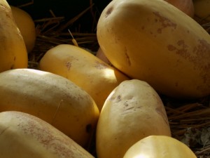 This is how to cook spaghetti squash