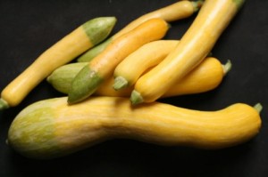 This is how to cook squash