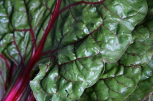 This is how to cook swiss chard